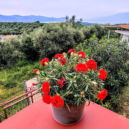 Casa Adam And