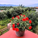 Casa Adam And