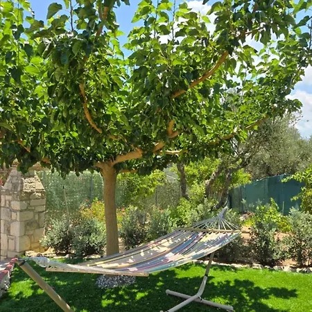 Casa Adam And Áno Yerakaríon